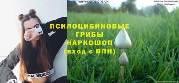кокаин колумбия Белокуриха