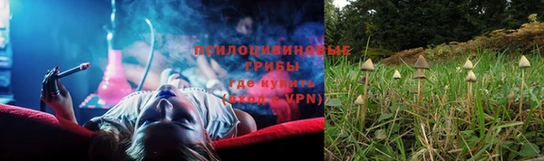 ГАЛЛЮЦИНОГЕННЫЕ ГРИБЫ Беломорск